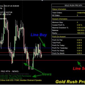 Gold Rush Pro Source Code (MQ4) (2)