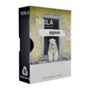 TeslaEaSoft Bear Mt4 (5)