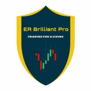 EA Brilliant Pro 2024 v4.2 MT