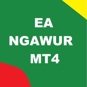 NGAWUR EA MT4