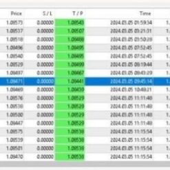 RAPID PIP ENGINE (1)
