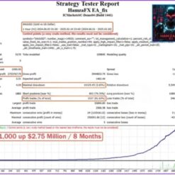 HAMZA FX EA MT4 V1.91 + SETFILES BUILD 1441+ - Image 3