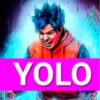 YOLO DIAMOND HANDS