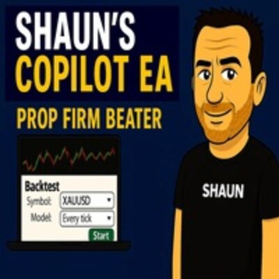 SHAUNS COPILOT