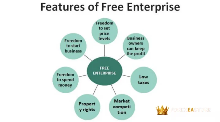 Download the Best Expert Advisor for MT4 Free Profitable EAs 2024 (1) (1)
