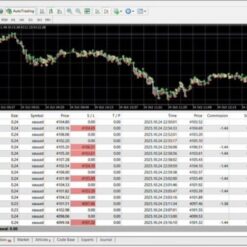 IS PI SCALPER EA ADAPTIVE - 1