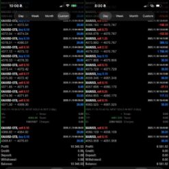MFXT GOLD AI (1)