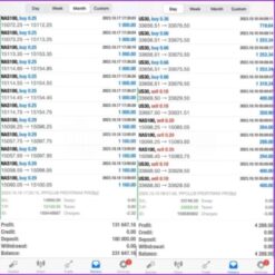 PIP CLUB PROFIT MAX PRO (3)