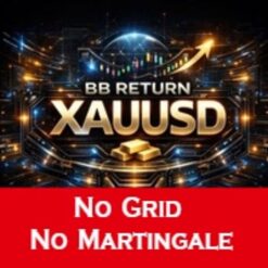 BB RETURN