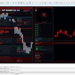 GOLD-PIP MINER - 1