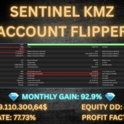 SENTINEL KMZ MT5 V2.5 + SETFILES BUILD 5836+ - Image 2