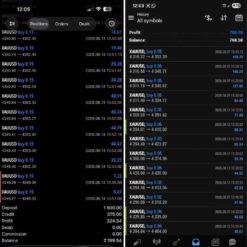 FOREX FUGE EA (1)