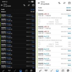 FOREX FUGE EA (2)