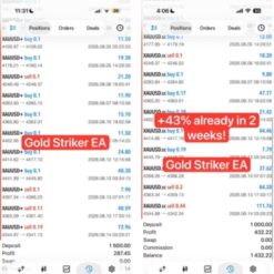 GOLD STRIKER EA (3)