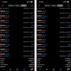 PIPSCALPER EA (1)