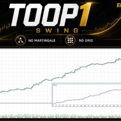 TOOP1 SWING - 1