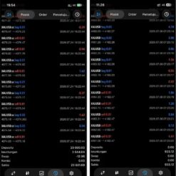Alternative view of WARIS SINGO BARONG MT5 V2.10 + SETFILES BUILD 6160+