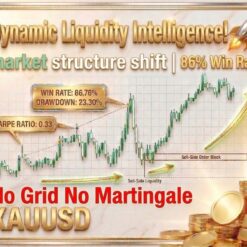 DYNAMIC LIQUIDITY INTELLIGENCE - 1