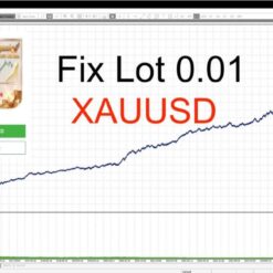 DYNAMIC LIQUIDITY INTELLIGENCE - 1