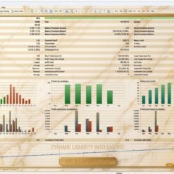 DYNAMIC LIQUIDITY INTELLIGENCE - 1