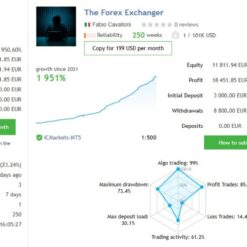 THE FOREX EXCHANGER - 1